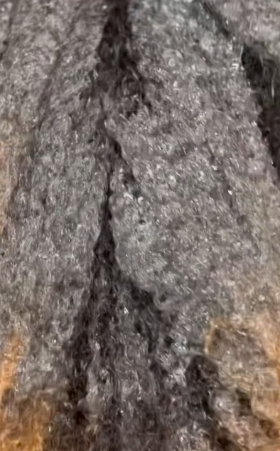 72976585