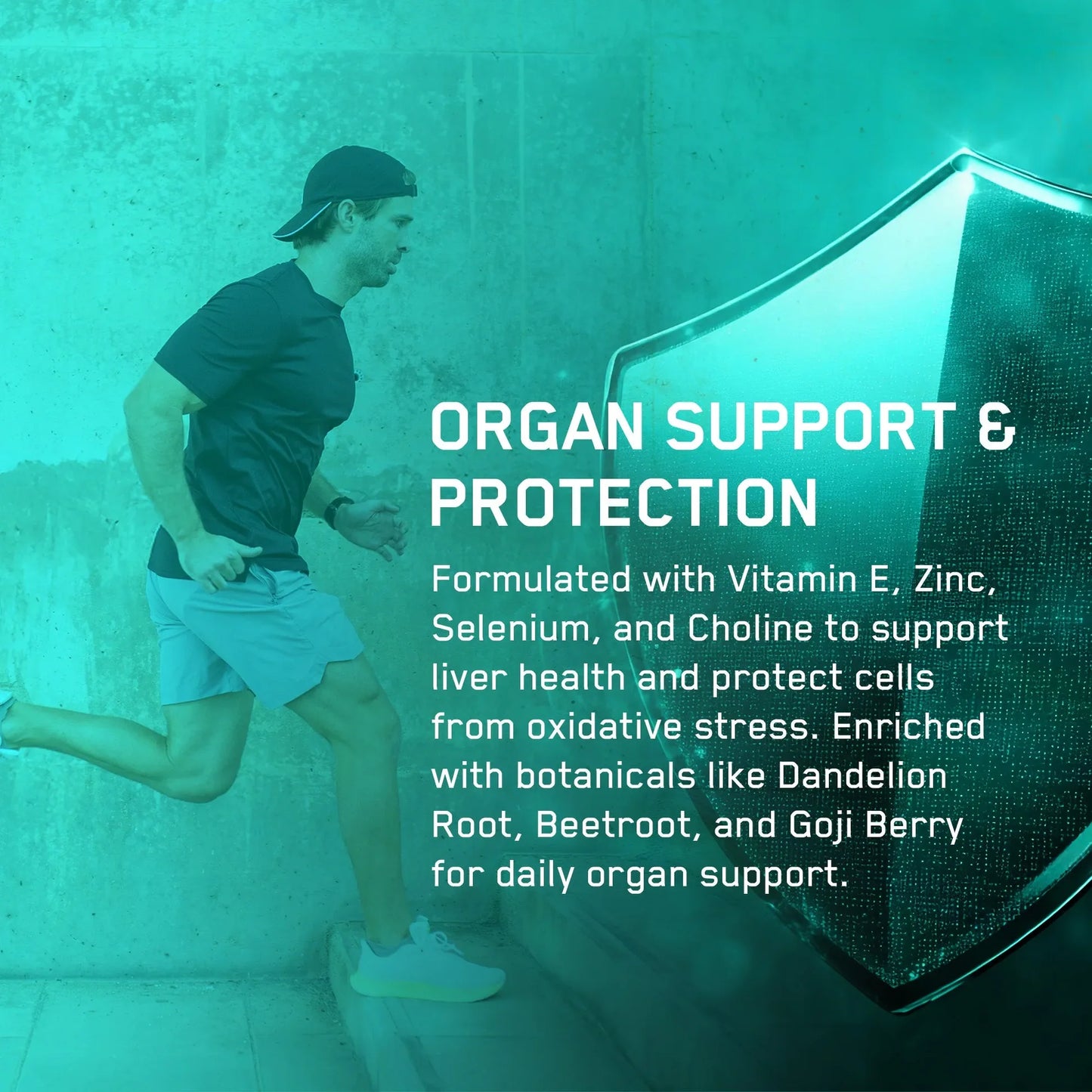 Organ Shield Supplement- Applied Nutrition